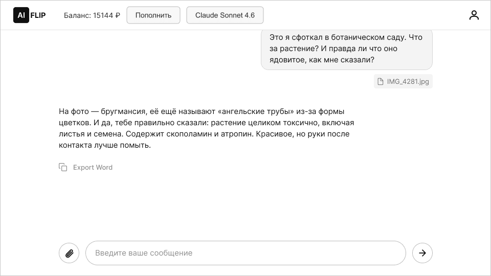 Claude Sonnet 4.6 определяет растение по фотографии: пример работы с изображениями